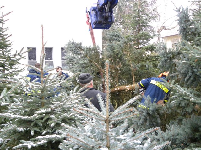 christbaumaufstellen 2017 15